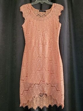 Lace Cap-Sleeve Sheath Dress in Blush Pink